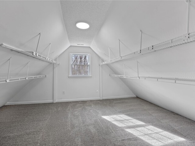 Photo of 242 Hawk Lane