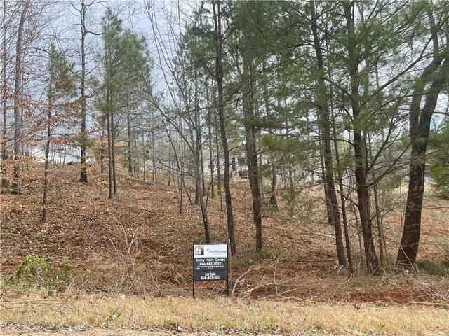 Photo of lot 60 Twin View Drive