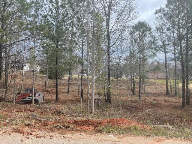 Photo of lot 60 Twin View Drive