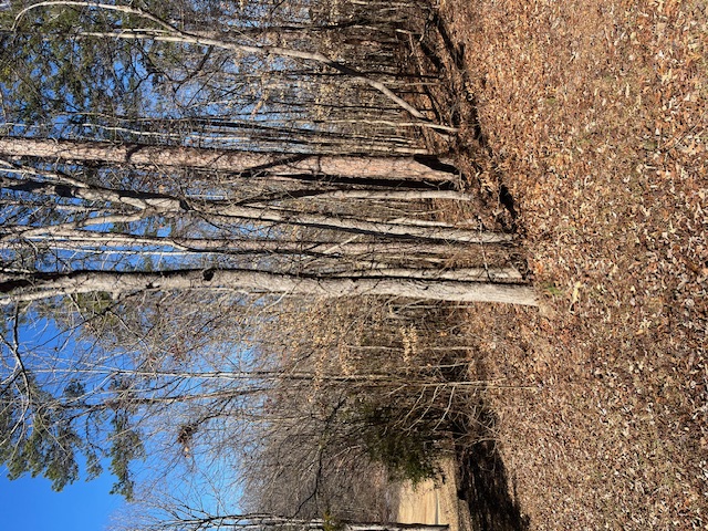 Photo of 506 Chickasaw Drive Photo of 506 Chickasaw Drive