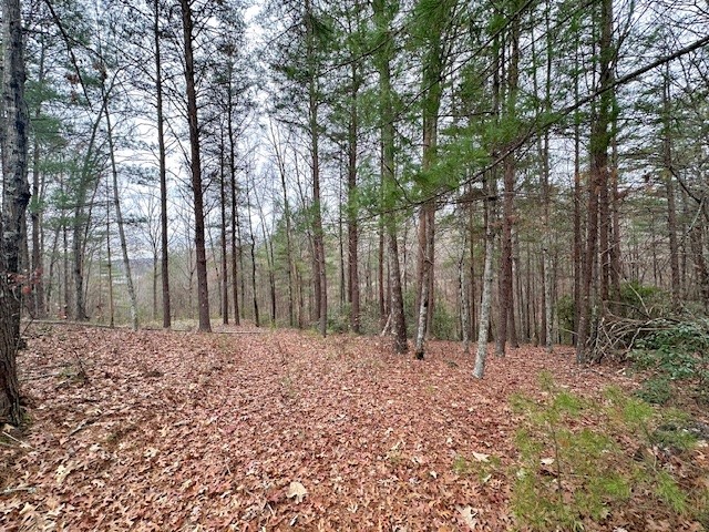 Photo of Lot 160 Keowee Vineyard Drive