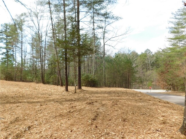 Photo of 110 Horseback Trail