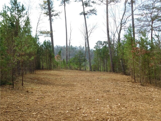 Photo of 110 Horseback Trail