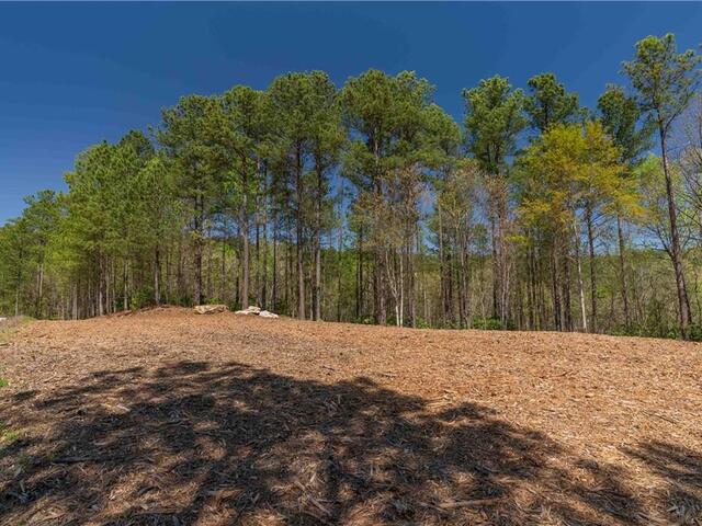 Photo of Lot 6 Canebrake Drive