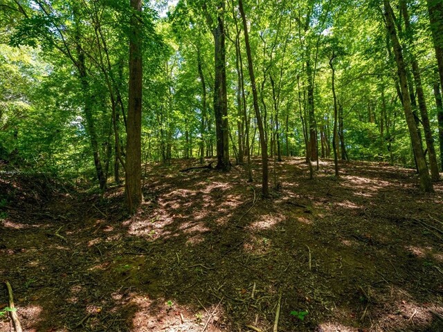 Photo of 000 Cane Creek Drive