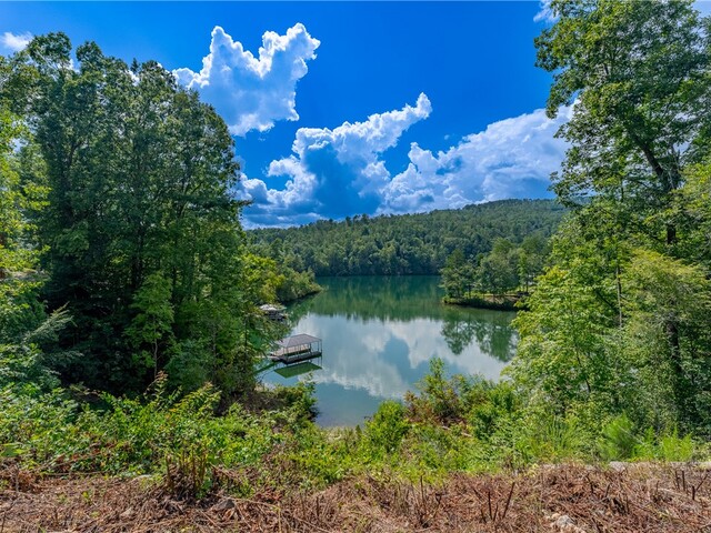 Photo of 431 Horse Pasture Road