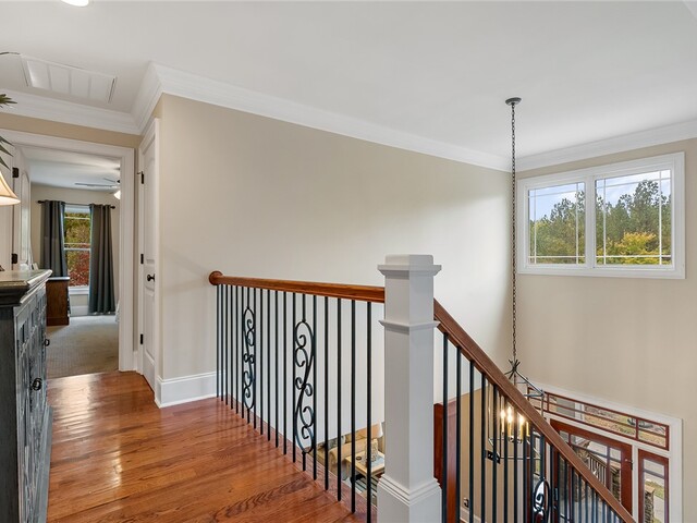 Photo of 703 Lightwind Court Photo of 703 Lightwind Court