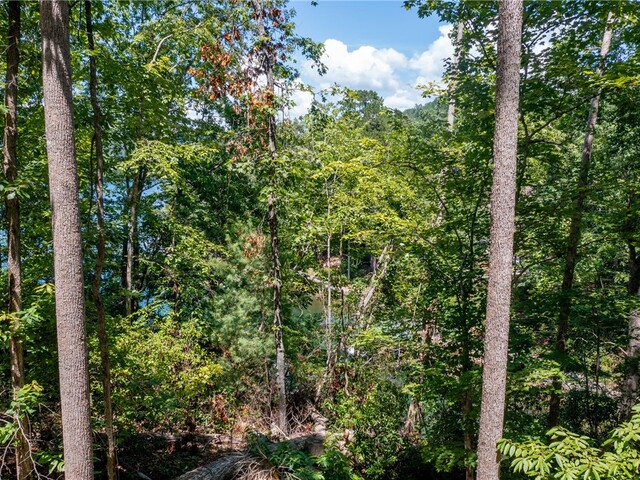 Photo of Lot J6 - 405 Ivory Bill Way