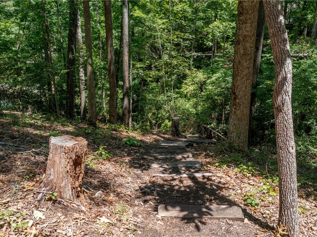 Photo of Lot J6 - 405 Ivory Bill Way