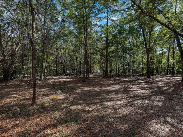 Photo of 1009 White Pines Lane