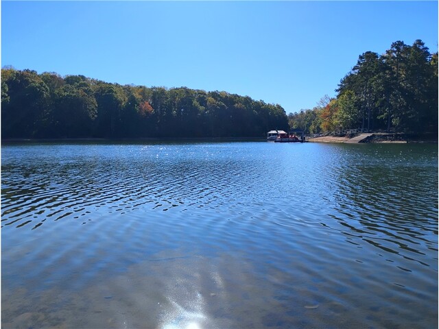 Photo of 1009 White Pines Lane