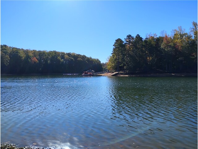 Photo of 1009 White Pines Lane