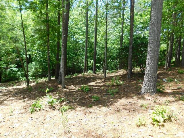 Photo of Lot 12 Canebrake Drive