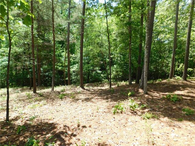 Photo of Lot 12 Canebrake Drive