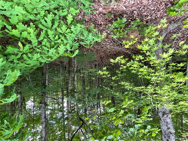 Photo of 0 Point Road