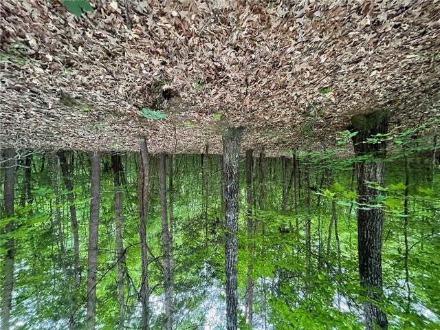 Photo of 0 Point Road