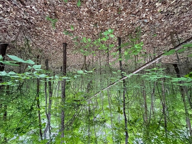 Photo of 0 Point Road