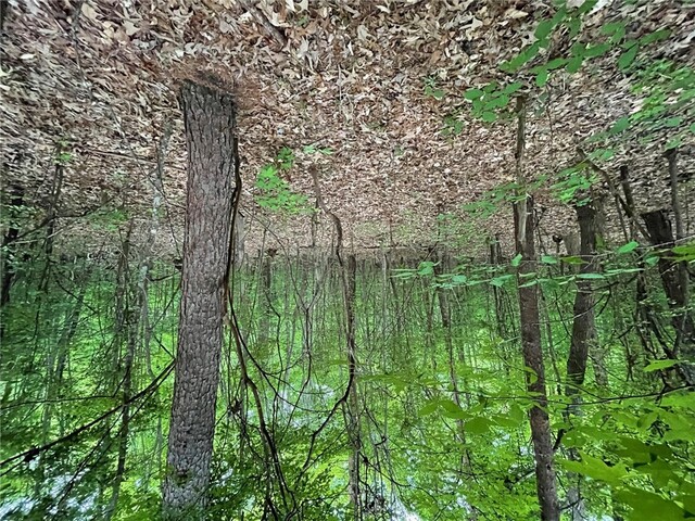 Photo of 0 Point Road