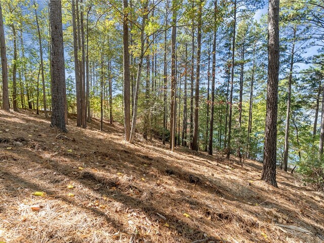 Photo of 145 and 149 Bright Water Trail