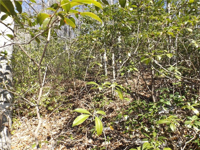 Photo of 130 Fairway Woods