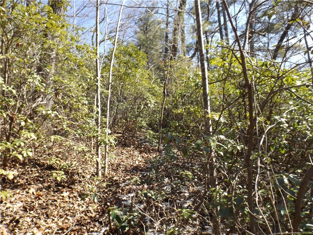 Photo of 130 Fairway Woods