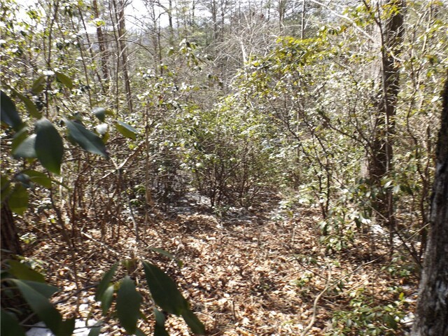 Photo of 130 Fairway Woods