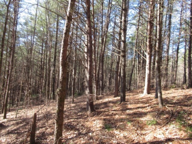 Photo of Lot 10 Sweet Shrub Court