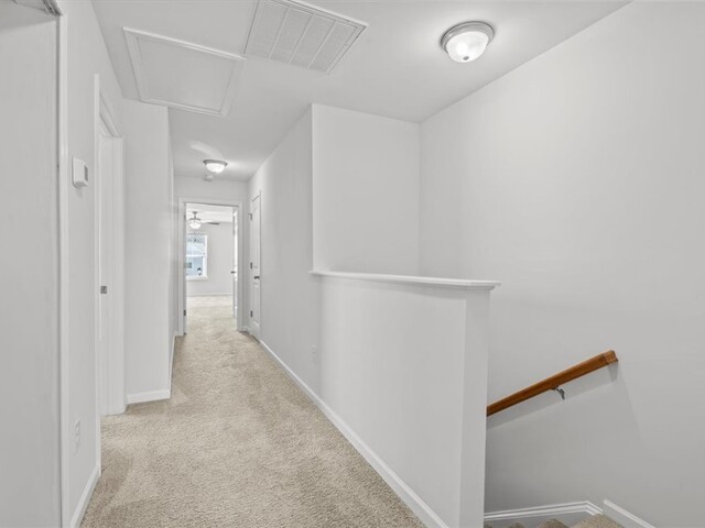 Photo of 118 Adger Road