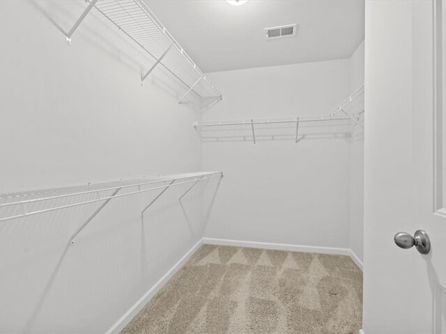 Photo of 118 Adger Road