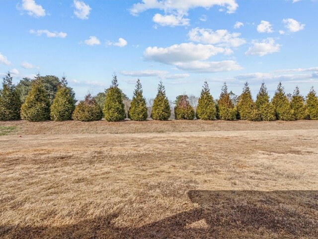 Photo of 118 Adger Road