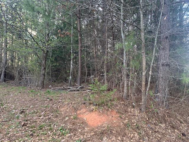Photo of 00 W Pond Fork Road