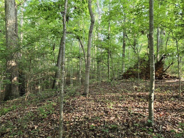 Photo of Lot 1061 N Hogan Drive