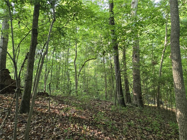 Photo of Lot 1061 N Hogan Drive