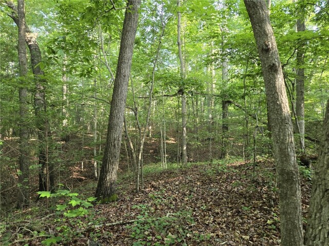 Photo of Lot 1061 N Hogan Drive