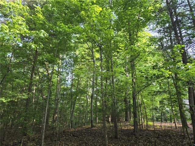 Photo of Lot 1061 N Hogan Drive