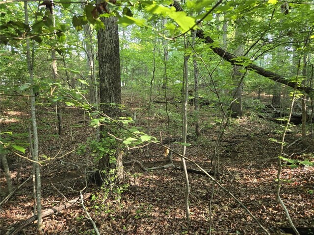 Photo of Lot 1061 N Hogan Drive