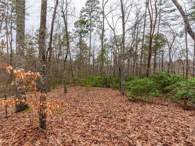 Photo of Lot 56 Blue Water Trail