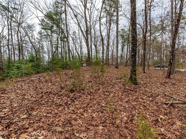 Photo of Lot 56 Blue Water Trail