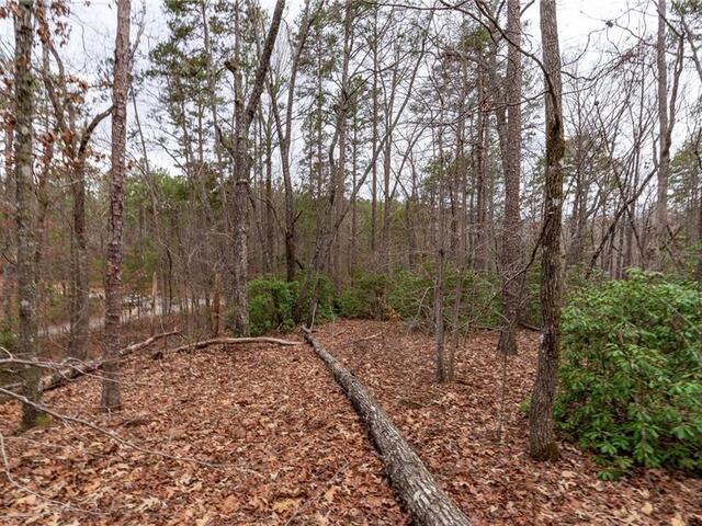 Photo of Lot 56 Blue Water Trail