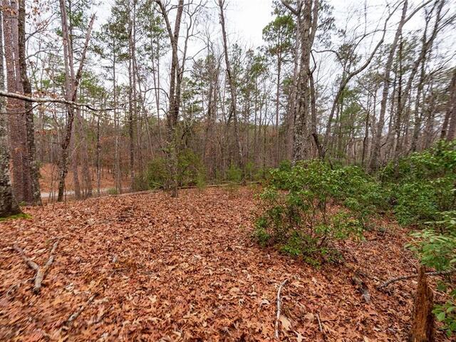 Photo of Lot 56 Blue Water Trail