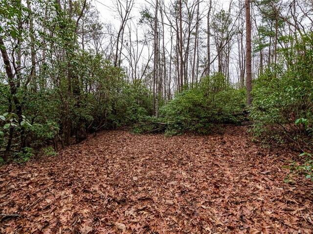 Photo of Lot 56 Blue Water Trail