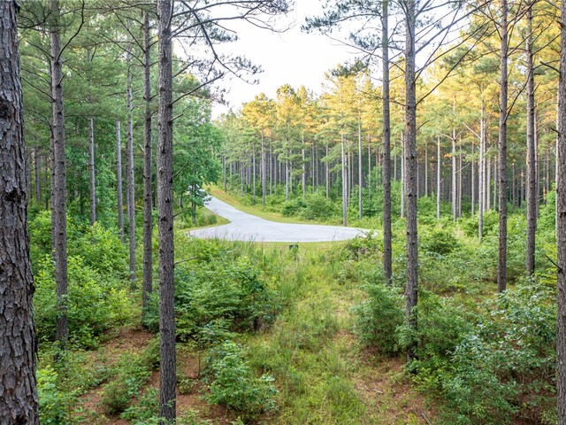 Photo of 0 High Pines Drive Photo of 0 High Pines Drive