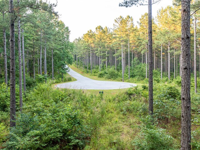 Photo of 0 High Pines Drive Photo of 0 High Pines Drive