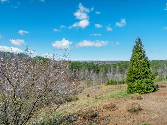 Photo of 127 Button Bush Trail