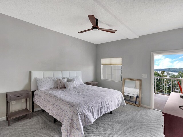 Photo of 849 Tiger Boulevard