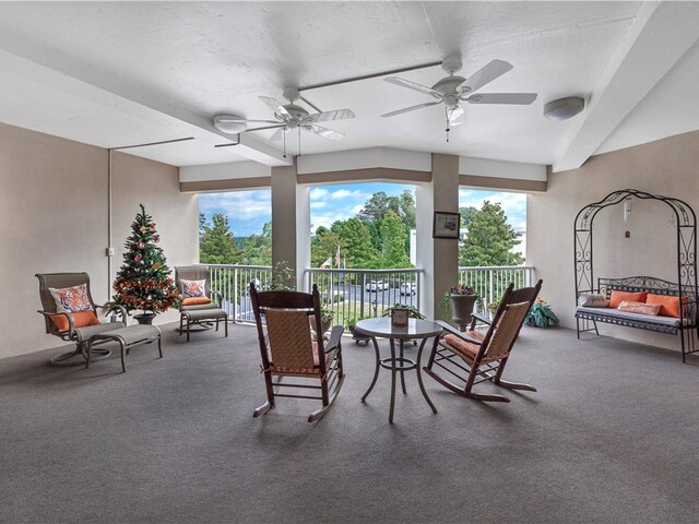 Photo of 849 Tiger Boulevard