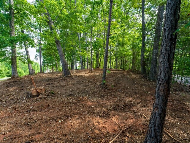 Photo of Lot 1 Deep Water Way