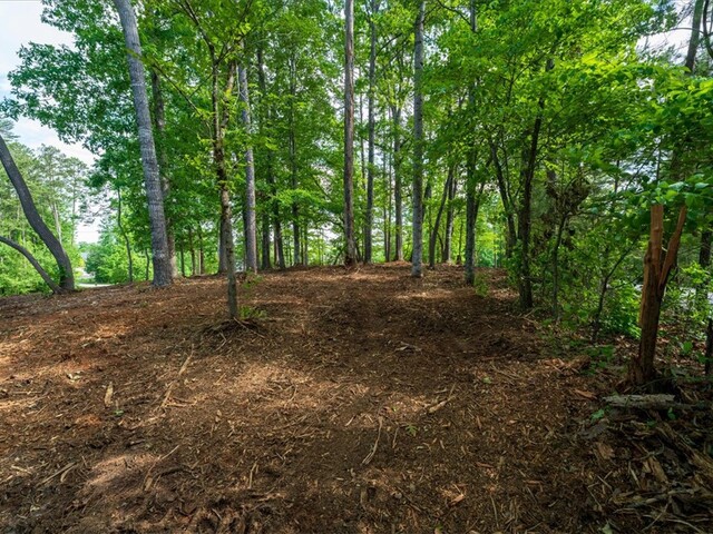 Photo of Lot 1 Deep Water Way