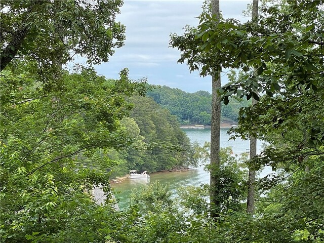 Photo of Lot 1 Deep Water Way