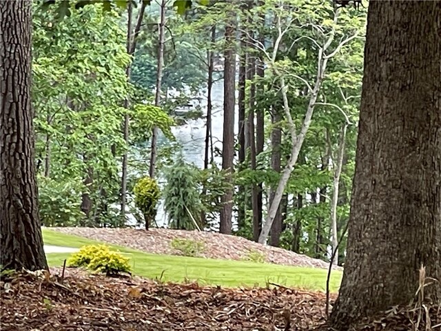 Photo of Lot 1 Deep Water Way